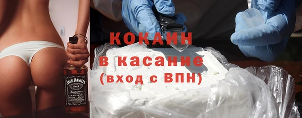 шишки Гусиноозёрск