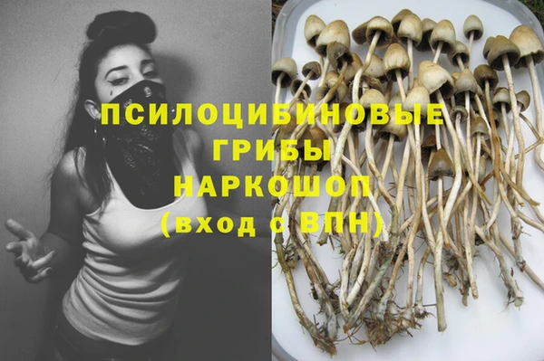 spice Балахна