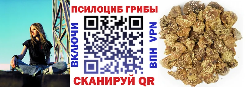 Псилоцибиновые грибы GOLDEN TEACHER MEGA сайт Заозёрск